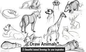 25 Beautiful Animal Drawings For Your Inspiration How To Draw Animals This tutorial is perfect for all art enthusiasts. 25 beautiful animal drawings for your