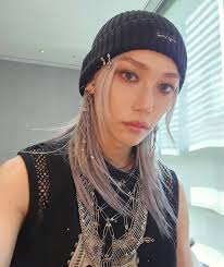 Hyunjin , The Ferret Of Straykids