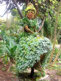 Katiedid San Diego Dancing And Dining Garten Pflanzen Pflanzen Gartenkunst