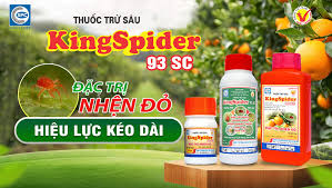 Kingspider 93SC