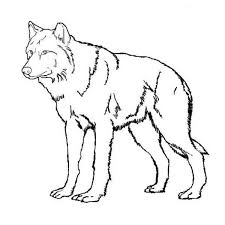 Wolf Coloring Pages Printable Cool Wolf Coloring Pages Ideas Wolf Colors Animal Coloring Pages Butterfly Coloring Page