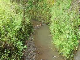 USGS Open-File Report 2012-1115, full text