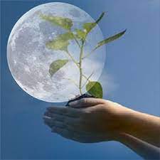 Planting By The Moon Gardening Calendar Garden Calendar Farmers Almanac Lawn And Garden