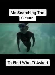 Me Searching The Ocean To Find Who Tf Asked