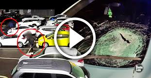 The description below is only a brief summary for quick and easy reference. Videotomotif Entah Apa Punca Dua Budak Rosakkan 37 Kereta Toyota