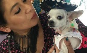 Meet Lily Marie Antonini