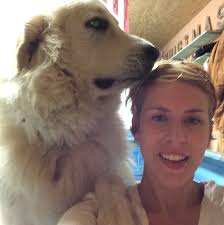 1,756 Sarah + Boots + Dessert + Baker.