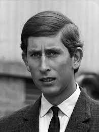 По слухам, он ответил камилле письмом, в котором говорилось, что. Princ Charlz Foto I Interesnye Fakty Iz Biografii Glamour Ru