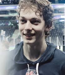 Umich Hockey Luke Hughes