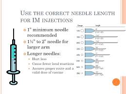 30 unfolded hypodermic needle sizes