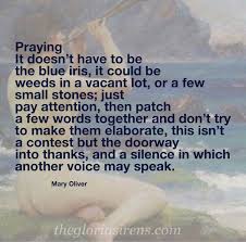 What She Said November 25 Mary Oliver The Gloria Sirens