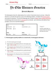 Mendel and basic genetics packet ws answers : Punnett Squares Punnett Square Mendelian Genetics Activity Punnet Squares