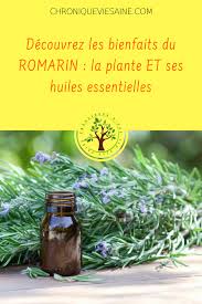 Nettoyer Son Foie Quand Comment Pourquoi Chronique Vie Saine En 2021 Nettoyer Son Foie Romarin Vertus Du Romarin