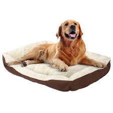 Maybe you would like to learn more about one of these? Livingbasics Rectangular Bolster Pet Bed Soft Plush Dog Bed Cat Bed Large Best Buy Canada
