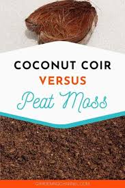 5 for $10 mulch {through 4/12}. Peat Moss Vs Coco Coir Which Should You Use Gardening Channel