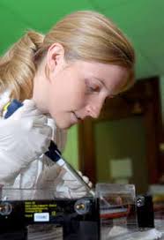 Graduate, Fall-Winter 2010