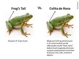 Frog Tail Vs Colita De Rana Same Thing Such A Different Meaning I Am A Proud Prescriber Of Sana Sana Colita De Rana Laugh At Yourself Humor Laugh