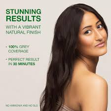 Naturigin Ebony Hair Dye 2 3 Permanent Hair Colour Natural