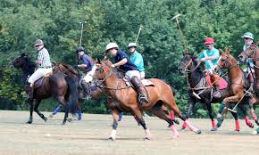 Team Dusseldorf prevails at Polo for the Kids benefit in Cook Township