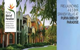 Bird of paradise in spanish. Purva Bird Of Paradise Kanakapura Road Bangalore Puravankara