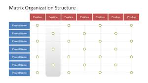 matrix organization structure