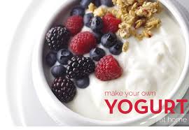 Super soft, moist, and tastes so good you'll forget it's on the healthier side!! Jan 19 2017 Making Your Own Yogurt At Home Acorn Farm