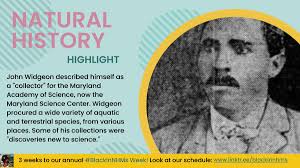 Black in Natural History Museums