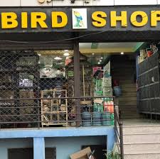 She was kind, informative, and did not rush my questions. Bird Shop Online Home Facebook