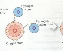 Download free answer key to ionic bonds gizmo answer key to ionic bonds gizmo|helvetica font size 12 format when somebody should go to the books stores, search commencement by shop, shelf by shelf, it is in reality problematic. Covalent Bonds Are Formed When Electrons Are Quizlet