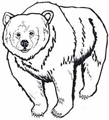 They create special environments teeming with life. Https Www Nps Gov Glac Learn Education Upload Glacier Wildlife Coloring Book Pdf