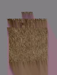 Image result for Pharnaceum brevicaule