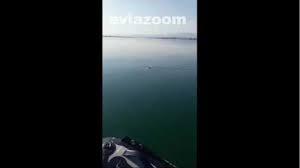 Ασφάλτινος δρόμος με συνεχές αλλά ευχάριστο στριφογύρισμα φεύγει βόρεια από την ψάθα, τρυπώνει στο πυκνόφυτο πευκοδάσος χαρίζοντας στον. Eyboia Karxarias Se Apostash 200 Metrwn Apo Thn Akth Binteo