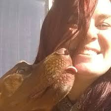 Looking for snow blade to fit HT23. I in Waterloo Indiana Bob