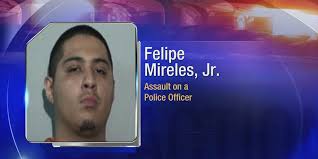 Man arrested after assaulting police officer