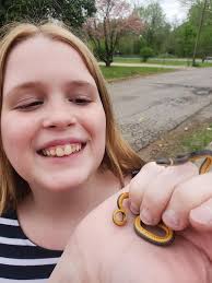 Snake near Paris any idea there a bunch one of the good honey holes