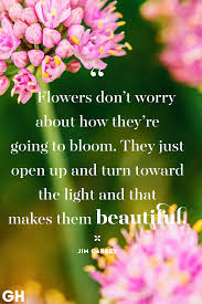 We did not find results for: 40 Inspirational Spring Quotes Quotes For Welcoming Spring