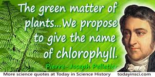 Plant Quotes 295 Quotes On Plant Science Quotes Dictionary Of Science Quotations And Scientist Quotes