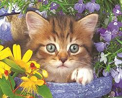 Crossword puzzles are for everyone. Springbok Children S Jigsaw Puzzles Garden Helper 100 Piece Jigsaw Puzzle Large 18 875 Inches By 13 5 Inches Puzzle Made In Usa Extra Large Easy Grip Pieces Buy Online In Bahamas At Bahamas Desertcart Com Productid 49550229