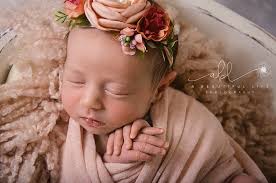 Arkansas Coalition Against Domestic Violence