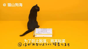 近期有不肖人士假冒本公司名義，推廣加入line好友，寄送惡意訊息及電子郵件，進而騙取個資。 請勿點擊其中連結與開啟附件檔。 黑貓宅急便發出的簡訊不會要求輸入個資。 快速寄件、取件服務，商用急件、低溫包裹都可快速安心寄領。 詳細請點黑貓寄取站. å¾®åšæœç´¢