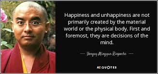 Image result for yongey mingyur rinpoche