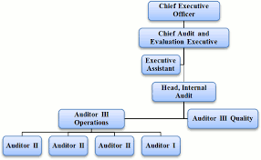 Types Of Logistical Audit Procedure For Carrying Out