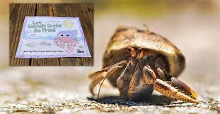 Free printable crab coloring page and download free crab coloring page along with coloring pages for other activities and coloring sheets. Hermit Crab Coloring Sheets Activities Peta Kids