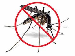 The exterminator that eliminates termites once and for all. Mosquito Pest Control Services Mosquitoes Control Services Seva Facility Services Private Limited Pune Id 21325009362