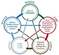 5 Elements Traditional Chinese Medicine