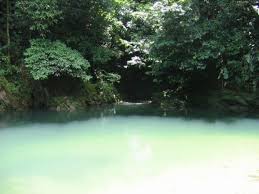 Mermaid Pool Trinidad Trinidad And Tobago Trinidad Great Places