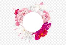 Peony Royalty Free Clip Art Decorative Flower Element Photoshop Flowers Flower Invitation Pink Petals