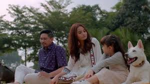 Mereka saling benci membenci di antara satu sama lain dan kebencian semakin membara apabila mereka meningkat dewasa. Film Baru Netflix June Kopi Angkat Kisah Persahabatan Manusia Hewan