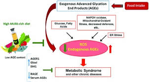Dietary Fat Quantity And Quality Modifies Advanced Glycation End Products Metabolism In Patients With Metabolic Syndrome Lopez Moreno 2017 Molecular Nutrition Amp Food Research Wiley Online Library