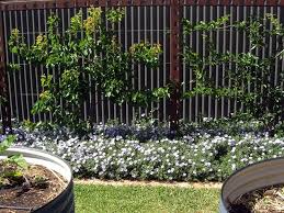 Trova le migliori pannelli divisori per giardino in ferro. Grigliati In Ferro Grigliati Per Giardino Graticci In Ferro Come Scegliere